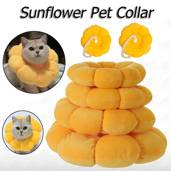 Pet Cat Sunflower Shaped Collar