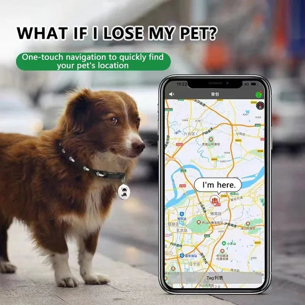 Pet Anti-Lost GPS Tracker